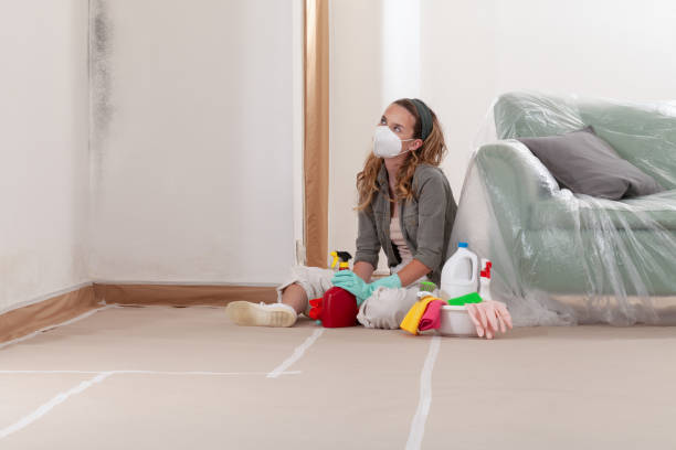 Reliable Mold Cleanup contractor in Nunica, MI by Cheap Mold Removal